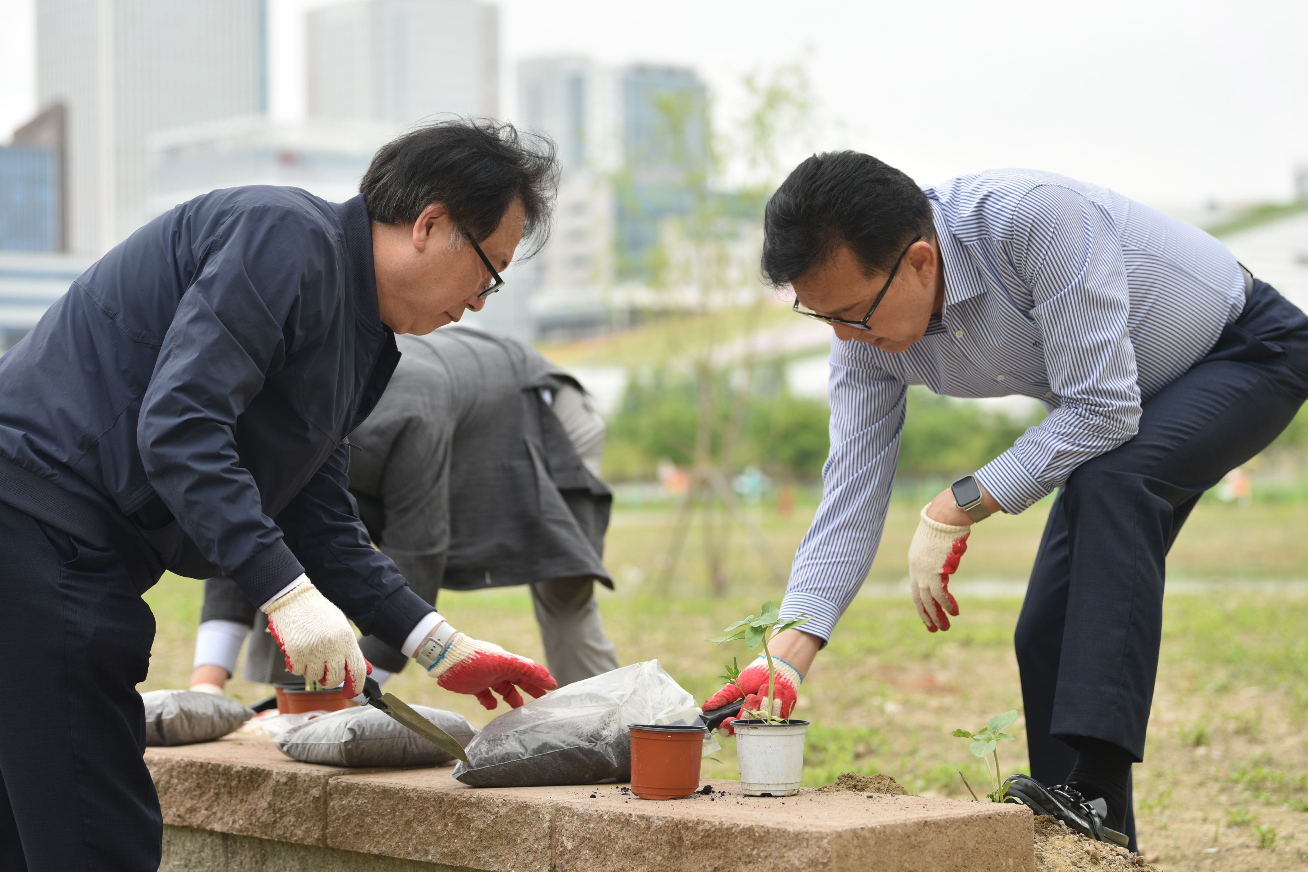 연수구가 제2청사 옆 공한지를 정비해 주민들을 위한 녹색 자연 쉼터 ‘연못가 벤치를 조성했다